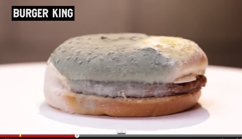moldy burger
