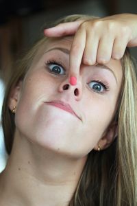 Bunny of hard-nosed!