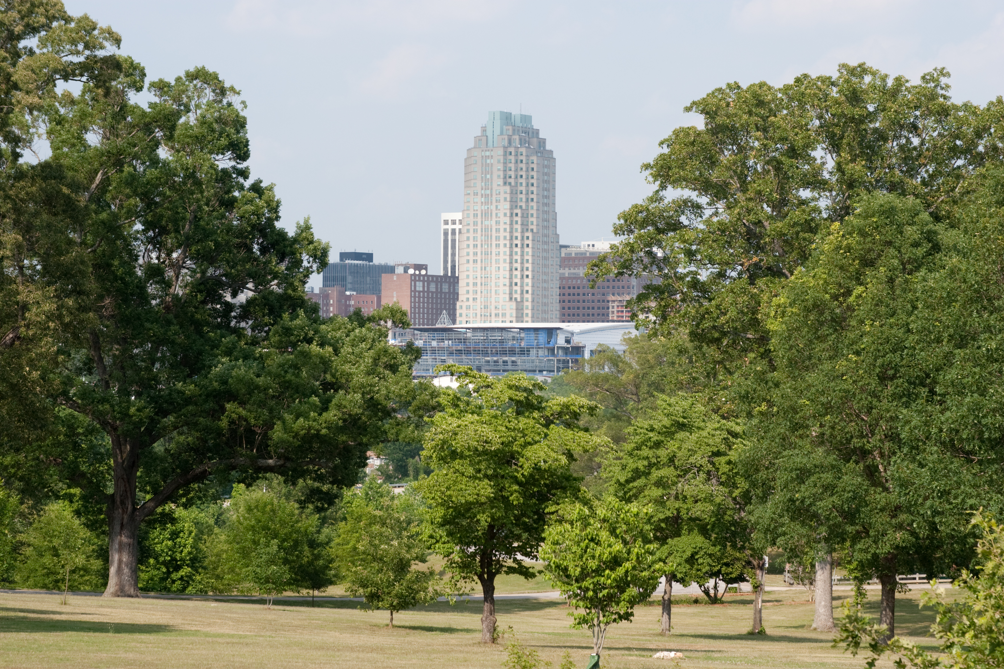 Raleigh and Trees