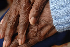 Senior Woman's Hands