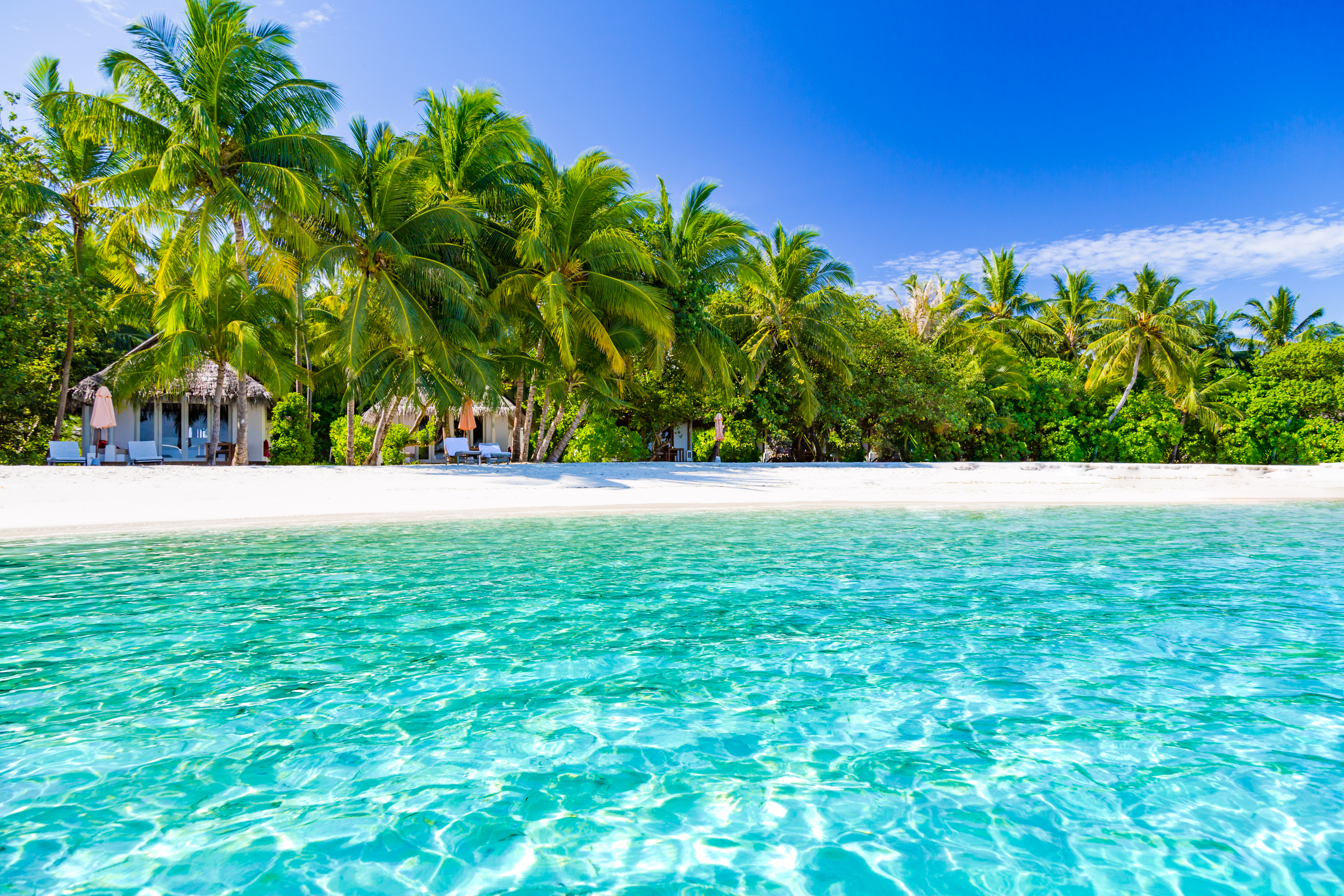 Maldives paradise beach. Perfect tropical island. Beautiful palm trees and tropical beach. Moody blue sky and blue lagoon. Luxury travel summer holiday background concept.