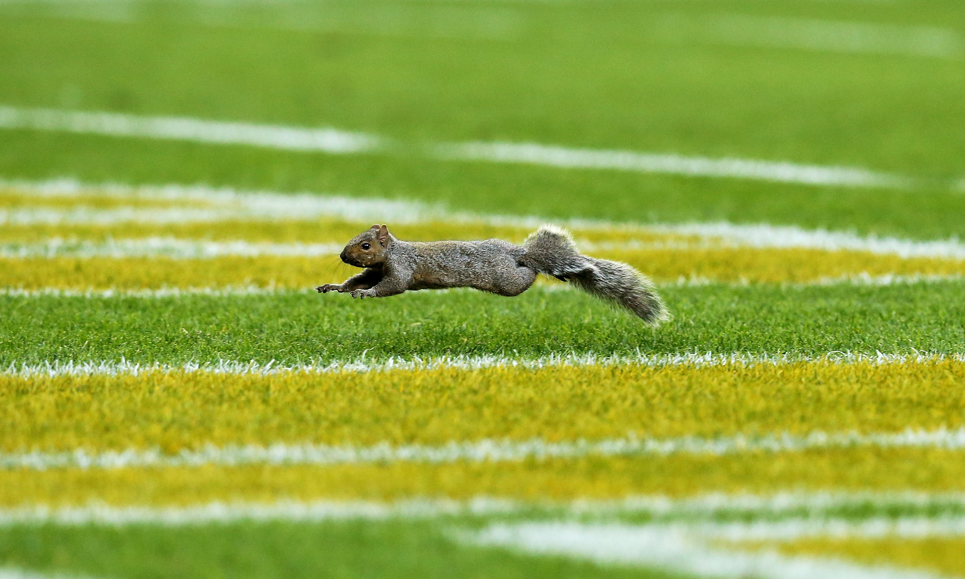 Indianapolis Colts v Green Bay Packers