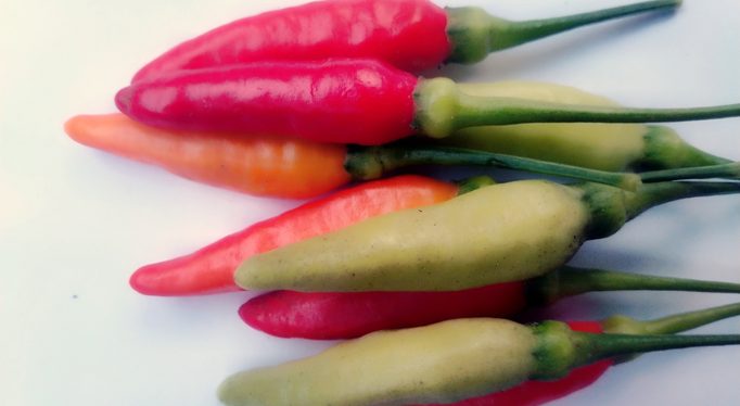 Chili peppers of various colors on a bright background