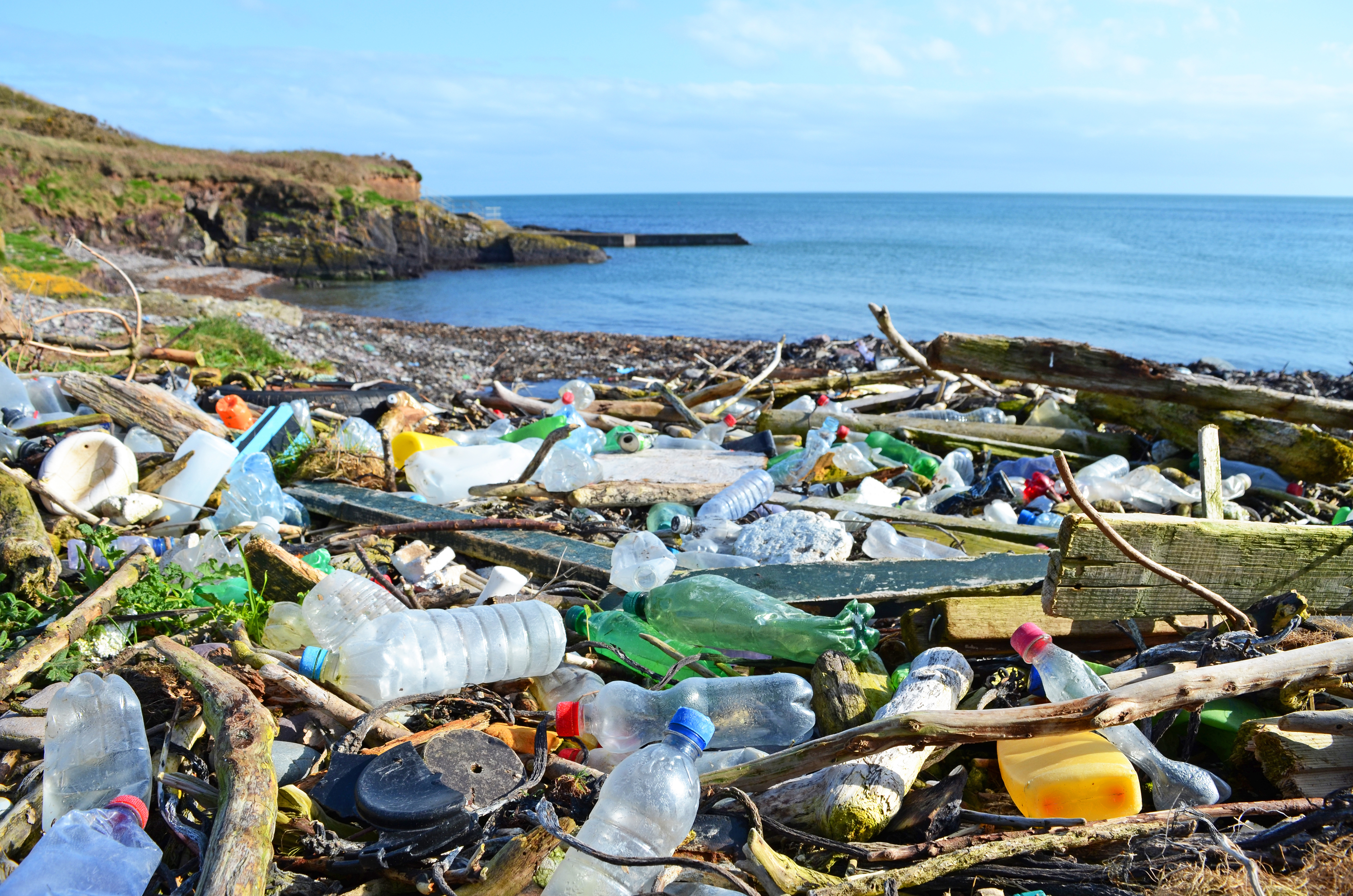 Marine Litter