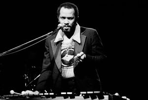 Roy Ayers Performs At The Bottom Line