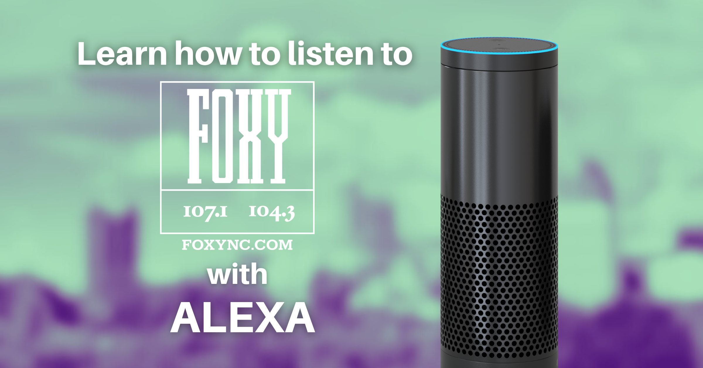 Foxy On the Alexa App Graphic